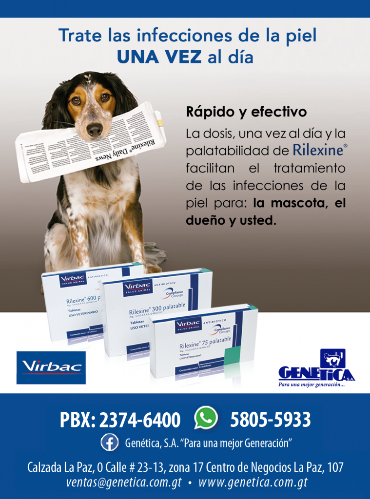 Rilexine® Palatable: Tratamiento eficaz de las infecciones en piel o Piodermas en perros