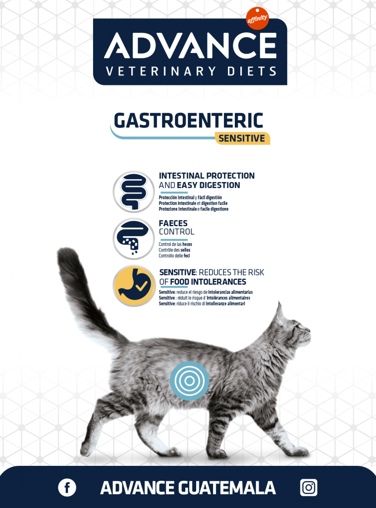 Advanced Alimentos especial para gatos Guatemala