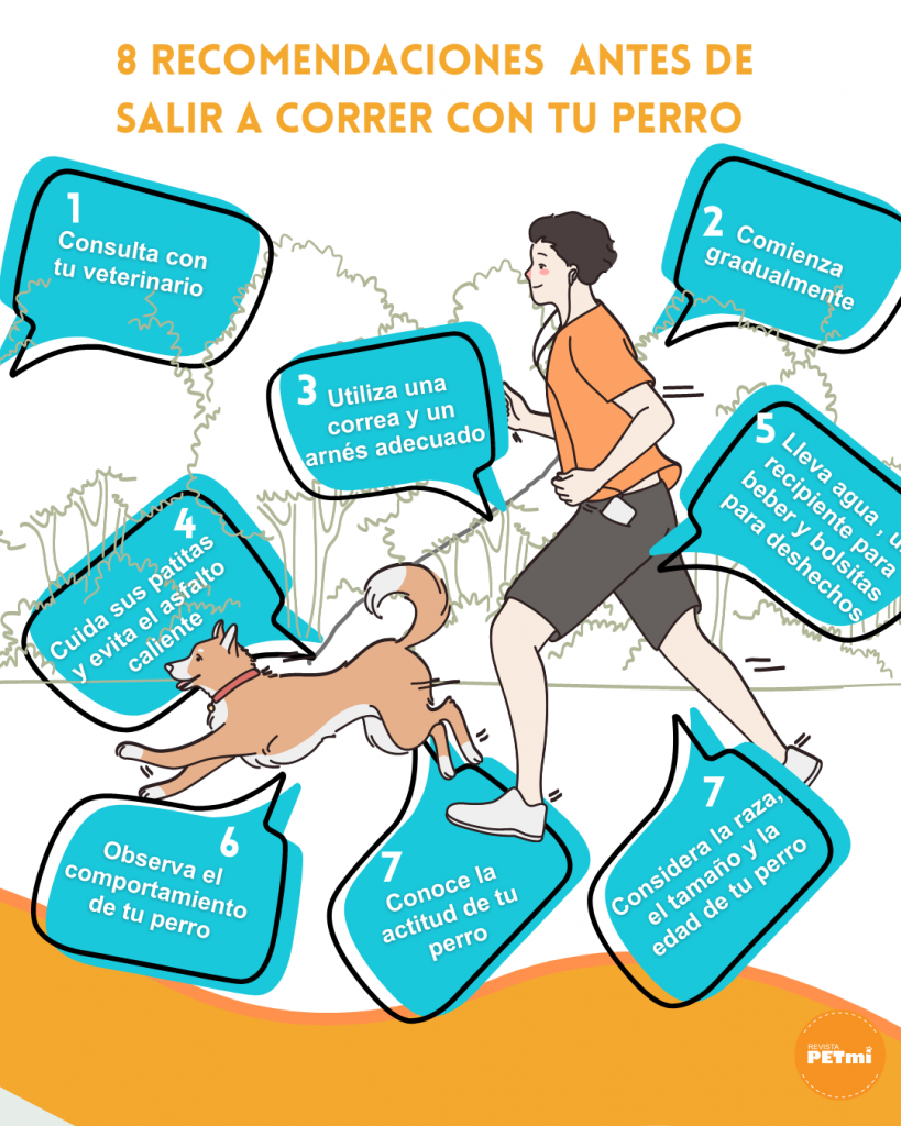 8 recomendaciones que debes tomar en cuenta para salir a correr con el perro