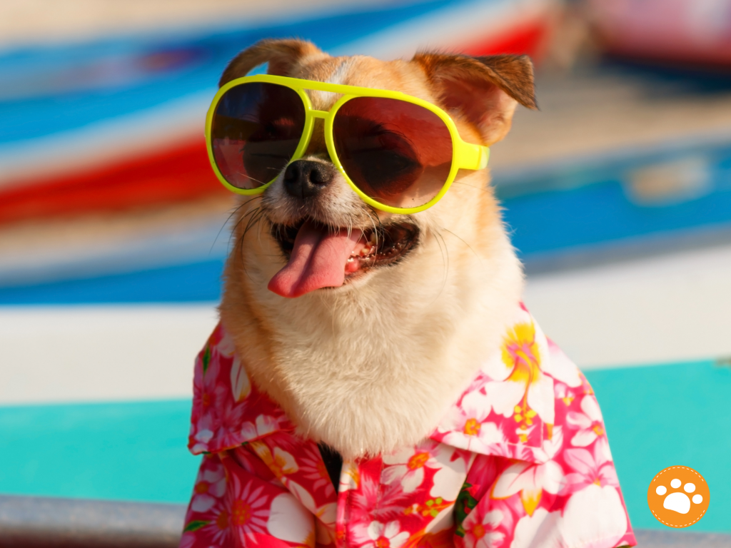 Prepara a tu mascota para el verano: consejos de cuidado para los meses más cálidos