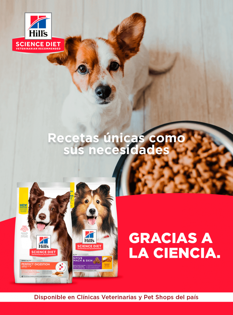 Science Diet Guatemala alimento para perros