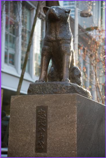 Estatua de Hachiko en la estacion de Shibuya