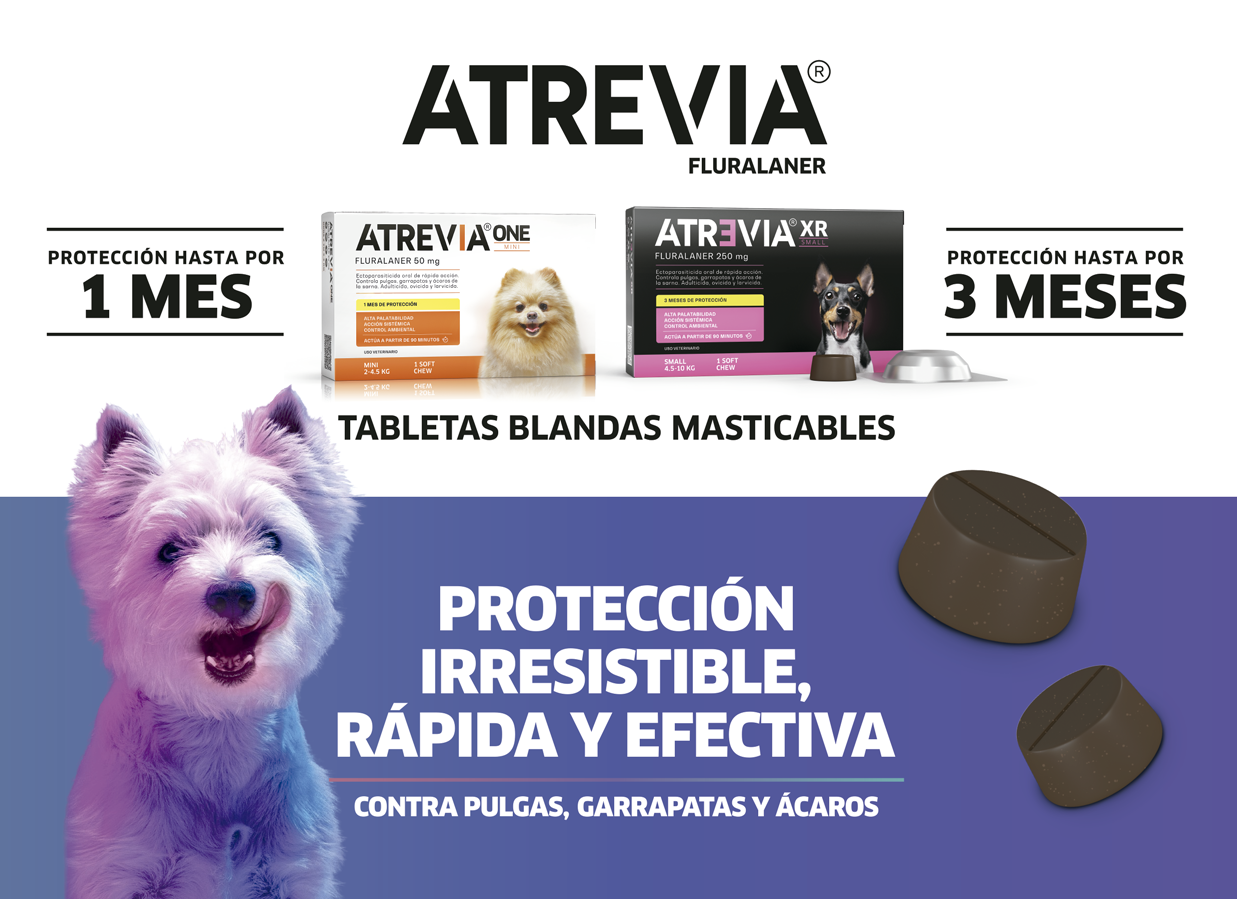 Atrevia protección contra pulgas en perros, pastilla masticable