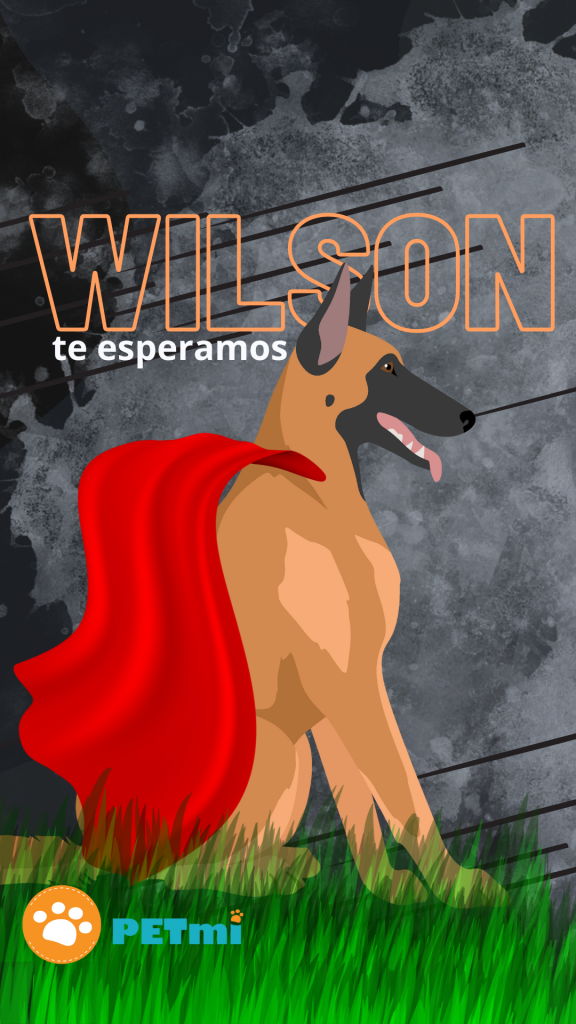 Wilson perro rescatista Colombia