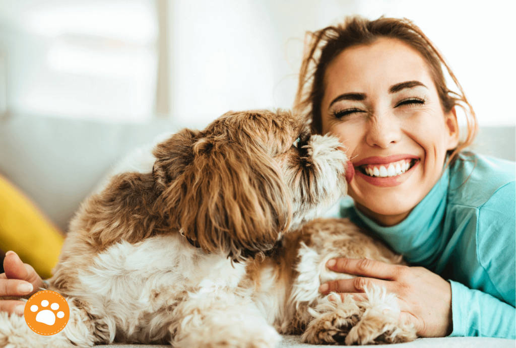 Amor incondicional. 
Cómo las mascotas ayudan a combatir la depresión, beneficios terapéuticos