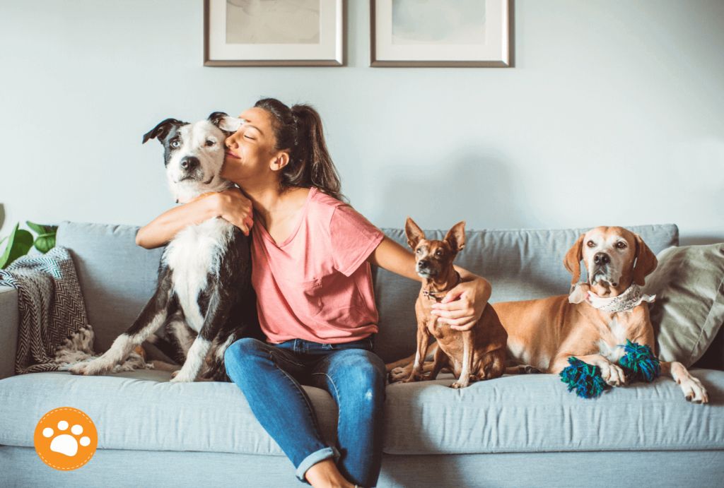 Terapia Peluda: Cómo las mascotas ayudan a combatir la depresión, beneficios terapéuticos