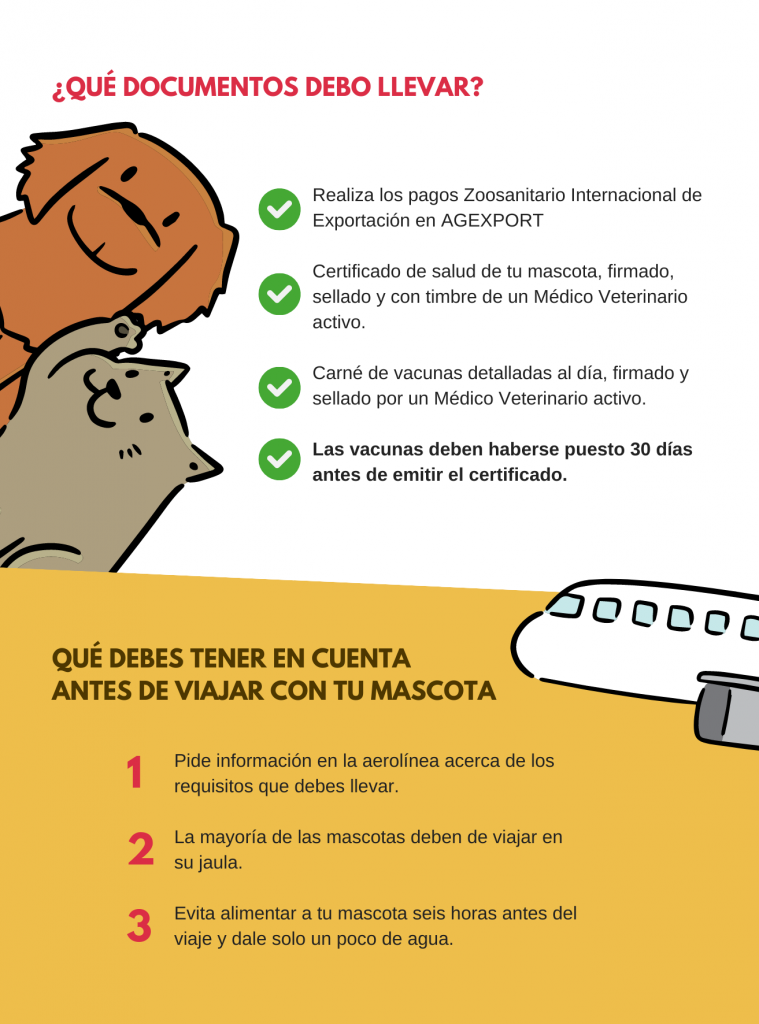 Documentos para viajar con tu mascota al exterior