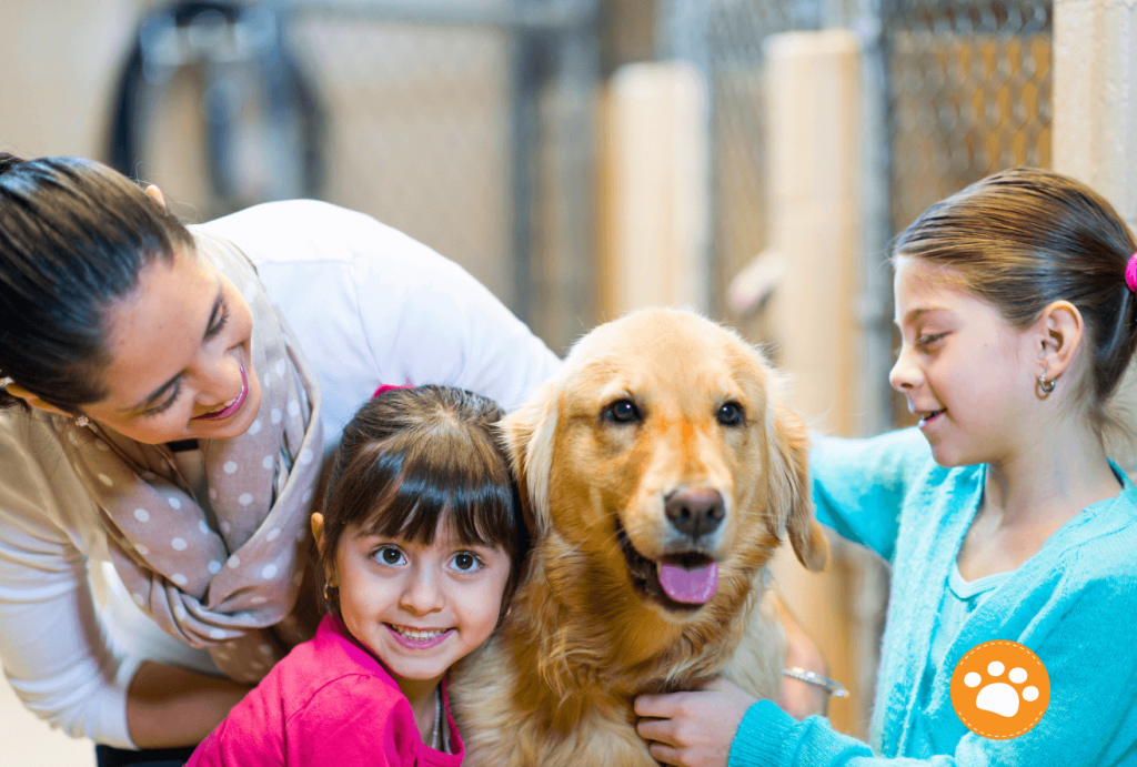 Como involucrar a los niños en la formación y socialización de sus mascotas