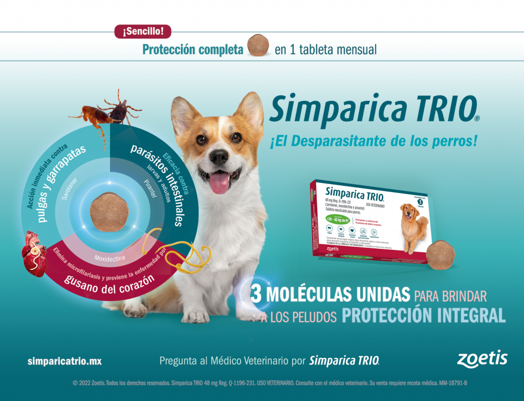 Simparica Trio, el desparasitante de los perros, elimina pulgas y garrapatas en una sola tableta al mes 
