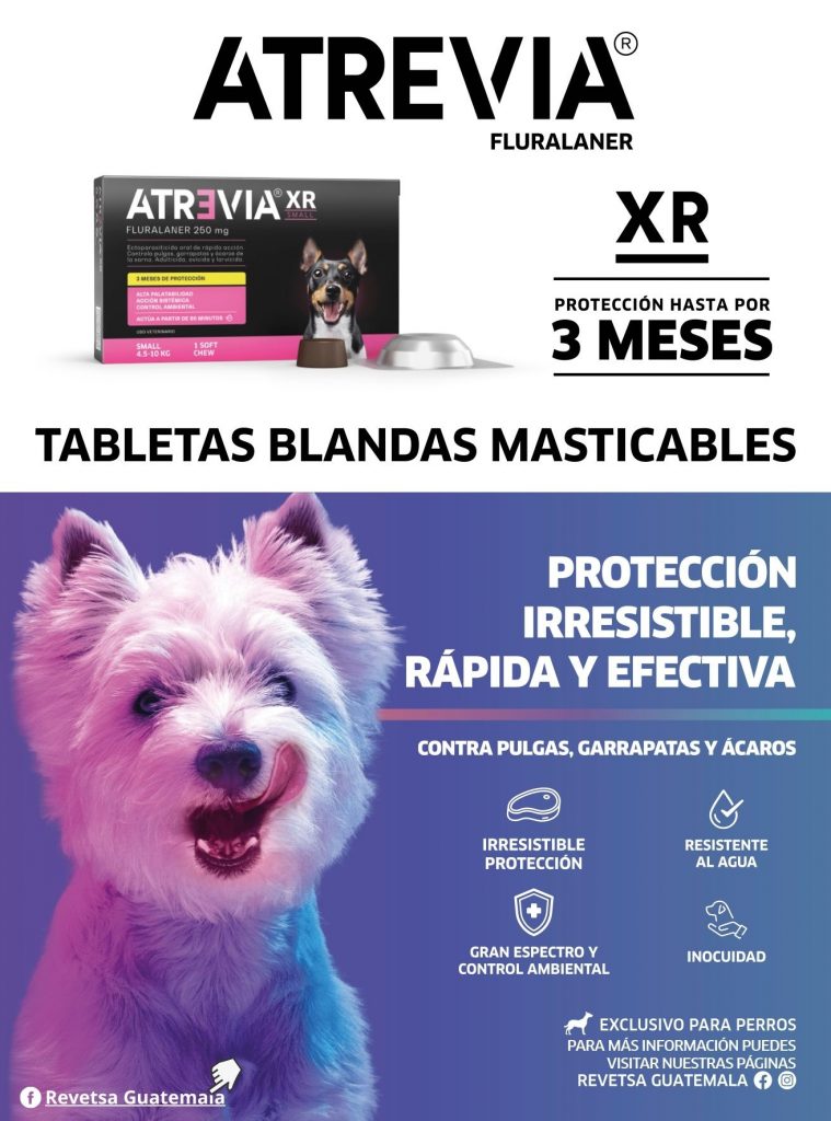 Atrevia, el desparasitante en tabletas masticables que protege a tu perro de los parásitos de manera efectiva y sin complicaciones