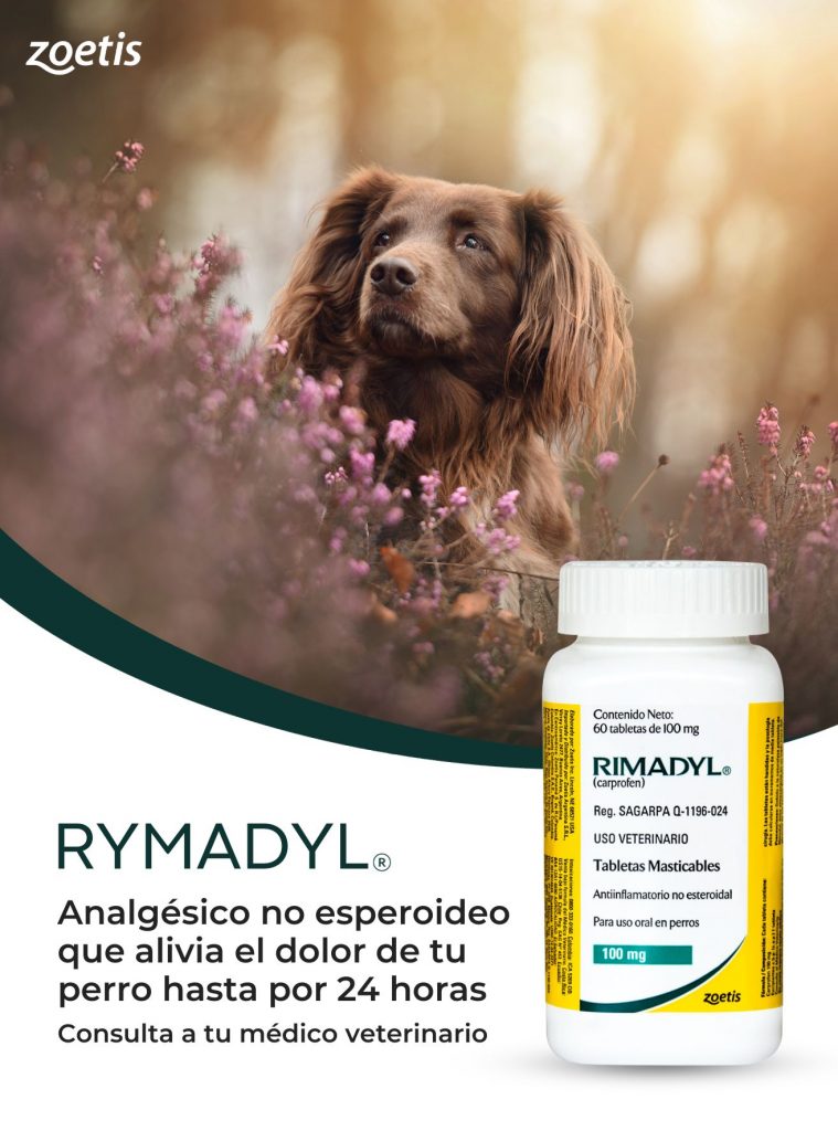 Rimadyl está indicado para aliviar el dolor y la inflamación en caninos. 
