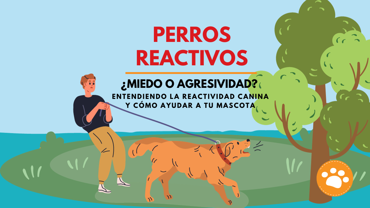 Perros reactivos