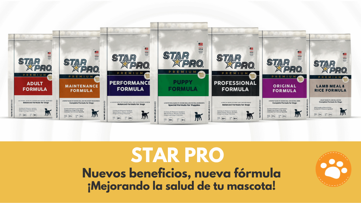 Star Pro alimento premium, nuevos beneficios y nueva fórmula