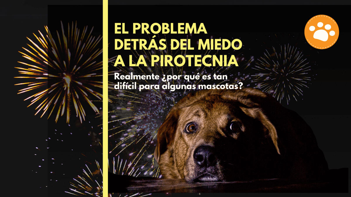 El problema detrás del miedo a la pirotecnia