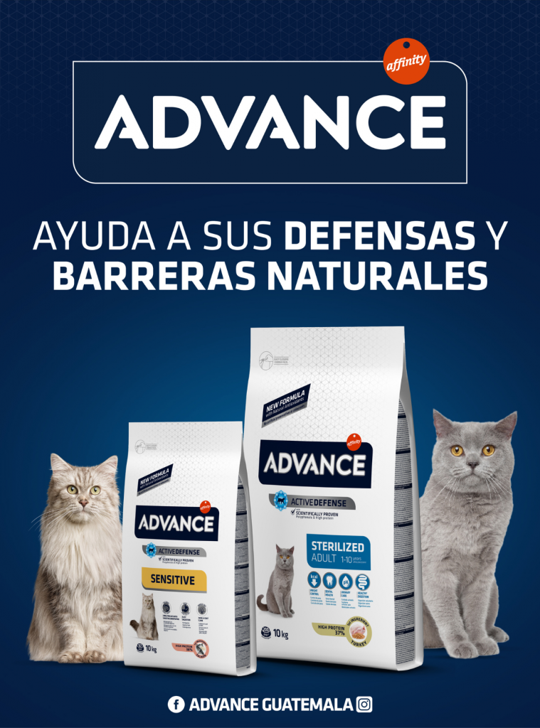 Advance alimento premium que ayuda a sus defensas y barras naturales de tu mascota. Alimentala sanamente 