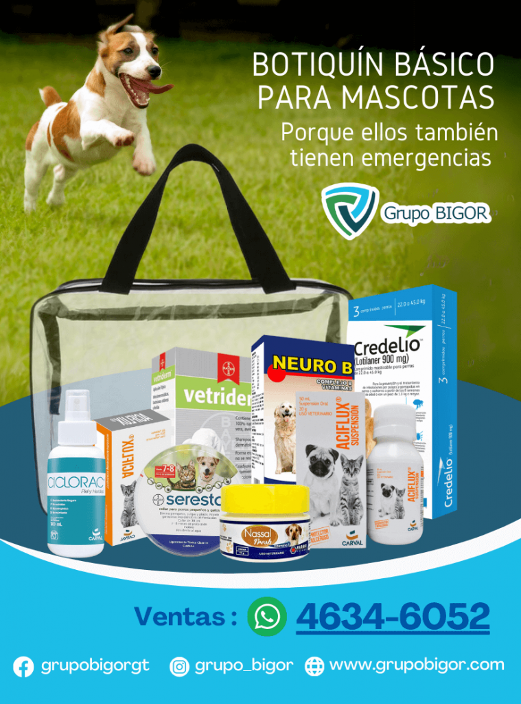 Grupo Bigor, productos para el cuidado de la salud de tus mascotas, gatos y perros.