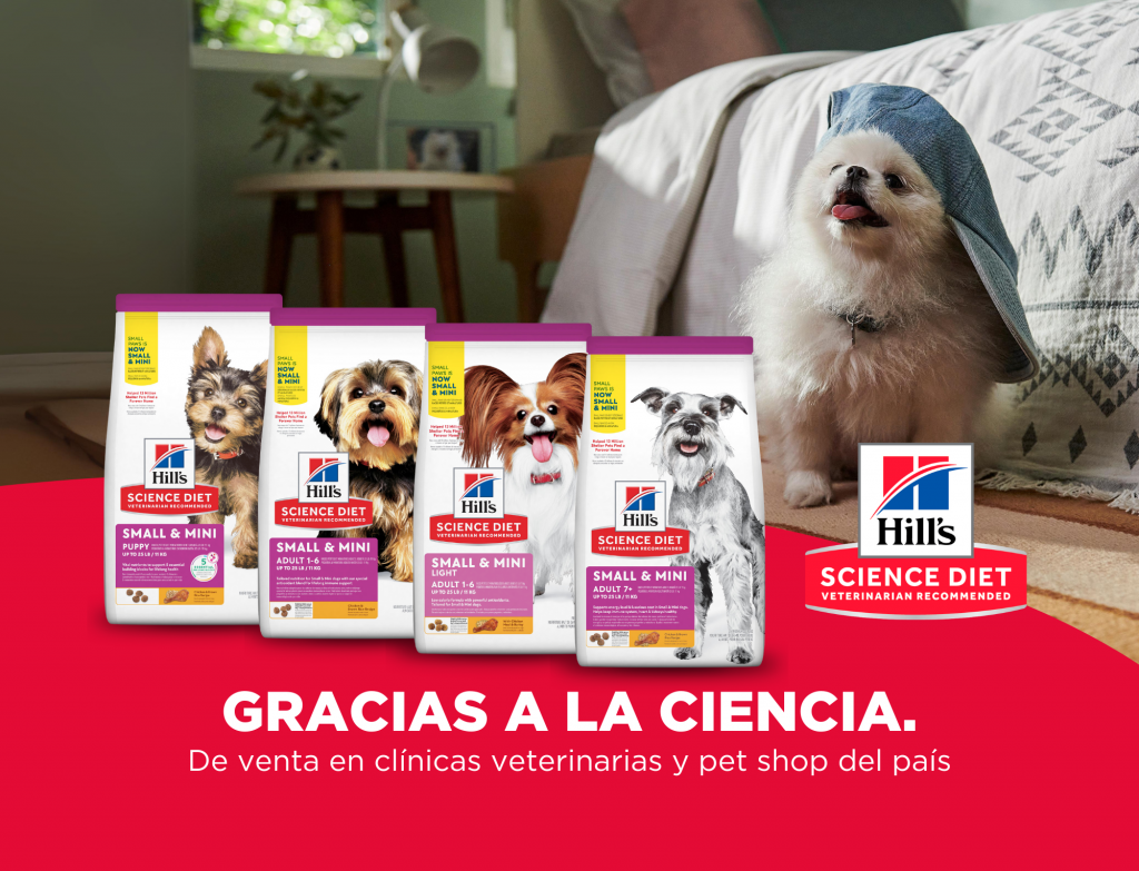 Hills, Science Diet Guatemala. Alimento para perros