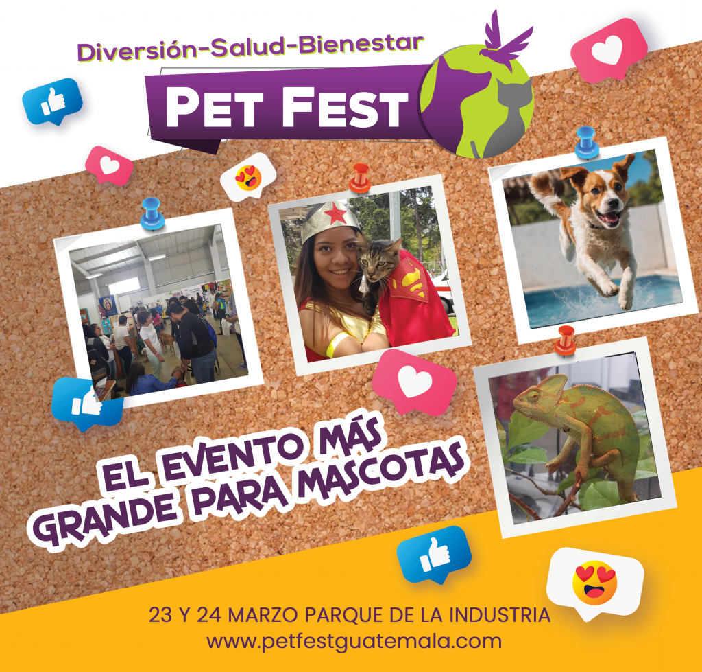 Pet Fest 2024