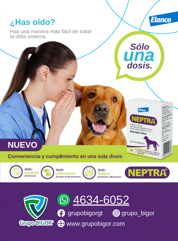 Neptra® es el único tratamiento de una sola dosis administrada por el veterinario para la otitis externa en perros. Su innovadora fórmula ofrece una acción prolongada tras una sola aplicación