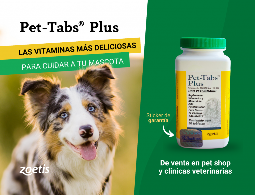 PET TABS PLUS Suplemento multivitaminico para tu mejor amigo de cuatro patas, recomendando para perros en sus etapas de crecimiento. 