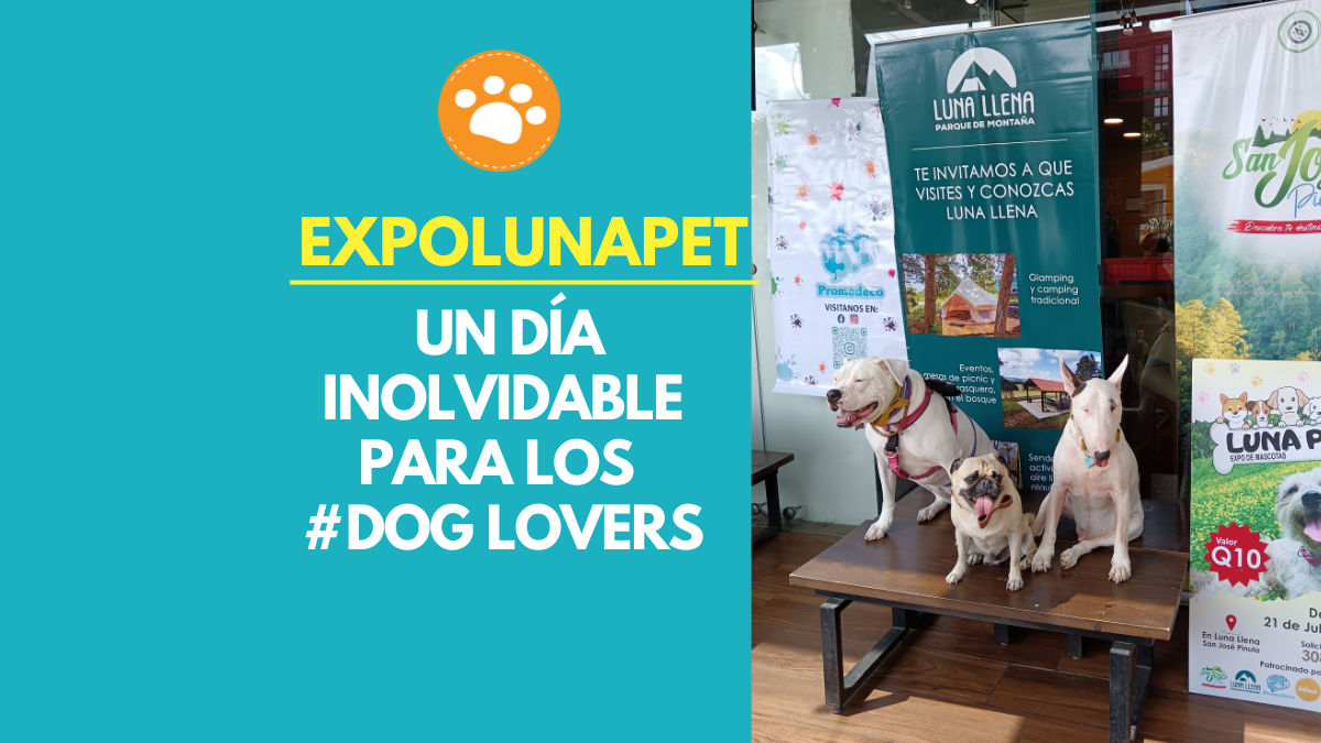 ExpoLunaPet: Un Día Inolvidable para los Dog Lovers