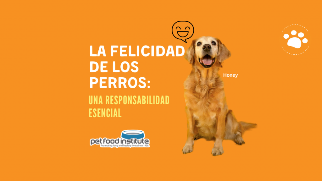 La felicidad de los perros: una responsabilidad Esencial