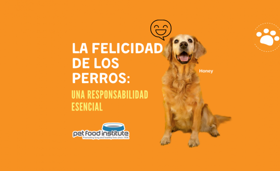 La felicidad de los perros: una responsabilidad Esencial