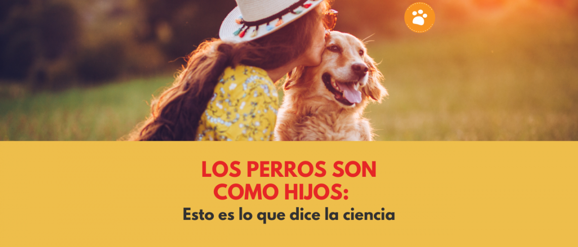 Los Perros son como Hijos: Esto es lo que dice la Ciencia