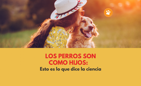 Los Perros son como Hijos: Esto es lo que dice la Ciencia