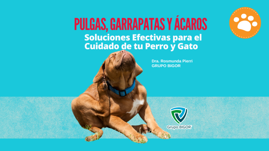 Pulgas, garrapatas y ácaros