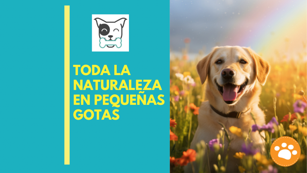 Toda la naturaleza en pequeñas gotas