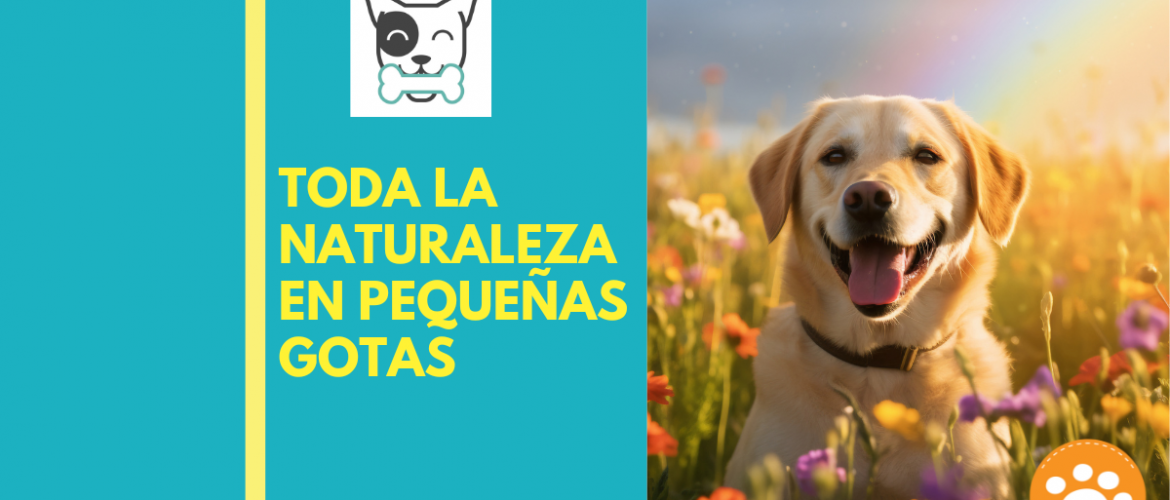 Toda la naturaleza en pequeñas gotas