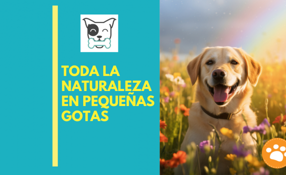 Toda la naturaleza en pequeñas gotas