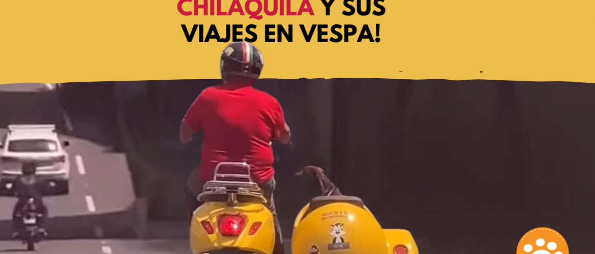 ¡La intrépida Chilaquila y sus viajes en Vespa!