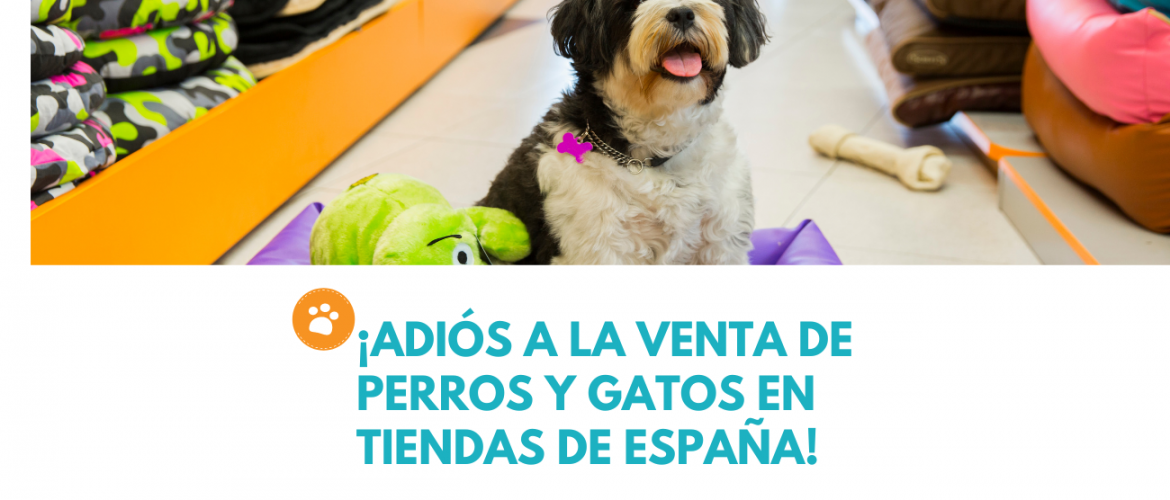 Adiós a la Venta de Perros y Gatos en Tiendas de España