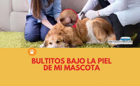 Bultitos bajo la piel de mi mascota