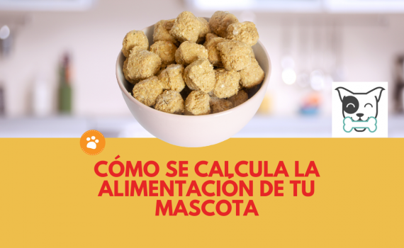 Como se calcula la alimentación de tu mascota (1)
