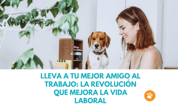 Lleva a tu mejor amigo al trabajo La revolución que mejora la Vida Laboral (1)