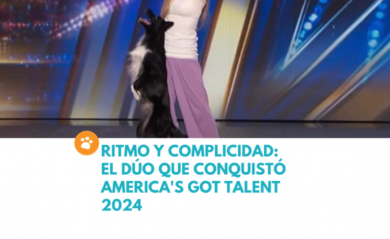 Ritmo y Complicidad: El Dúo que Conquistó America's Got Talent 2024