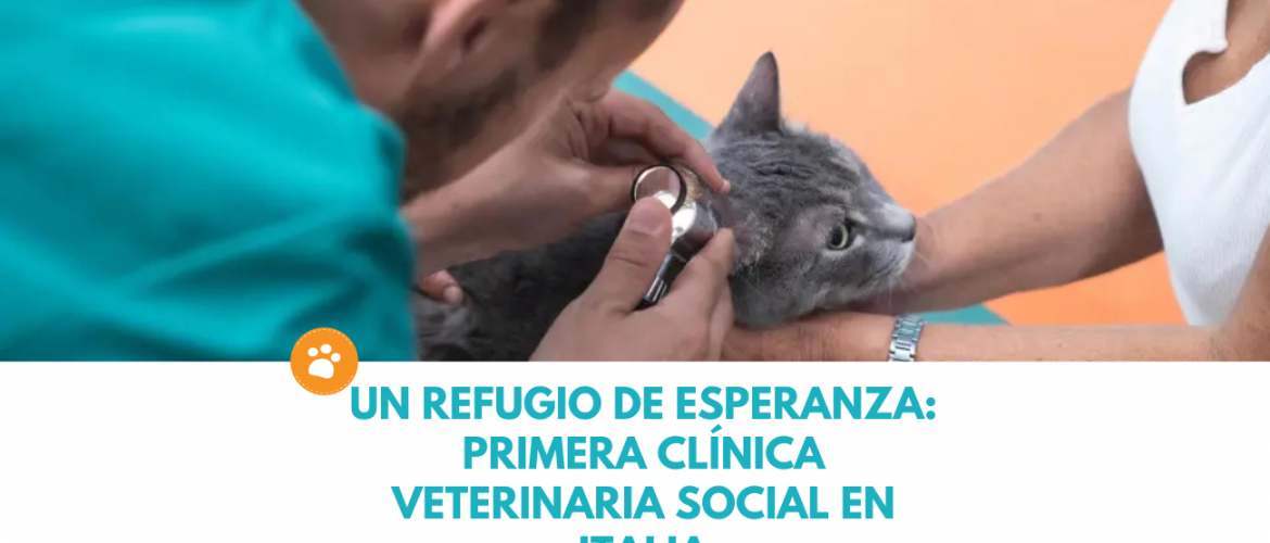 Un Refugio de Esperanza-Primera Clínica Veterinaria Social de Italia (2)