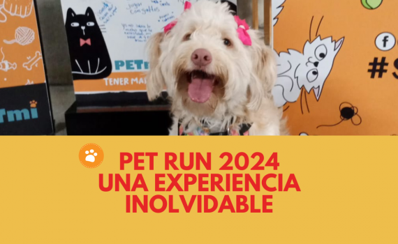 pet run 2024, una experiencia inolvidable, vivimos momentos divertidos junto a nuestra mascota