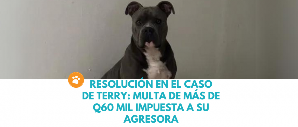 Resolución en el caso de Terry multa de más de Q60 mil impuesta a su agresora
