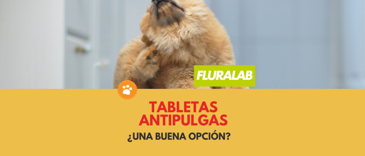 Tabletas antipulgas ¿Una buena opción?