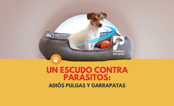 Un escudo contra parasitos Adiós Pulgas y Garrapatas