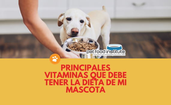 principales vitaminas que debe tener la dieta de mi mascota