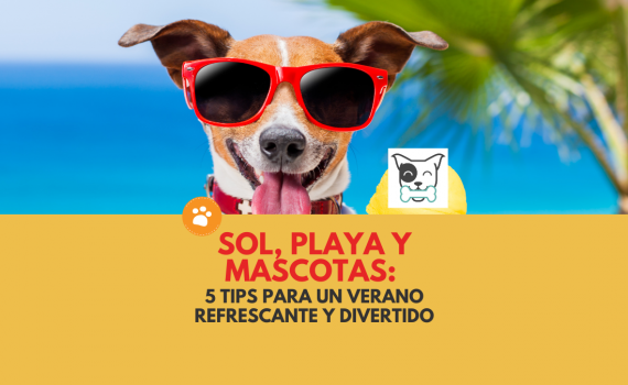 5 Tips para un Verano Refrescante y Divertido