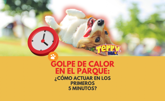 Golpe de calor en el parque: ¿Cómo actuar en los primeros 5 minutos?