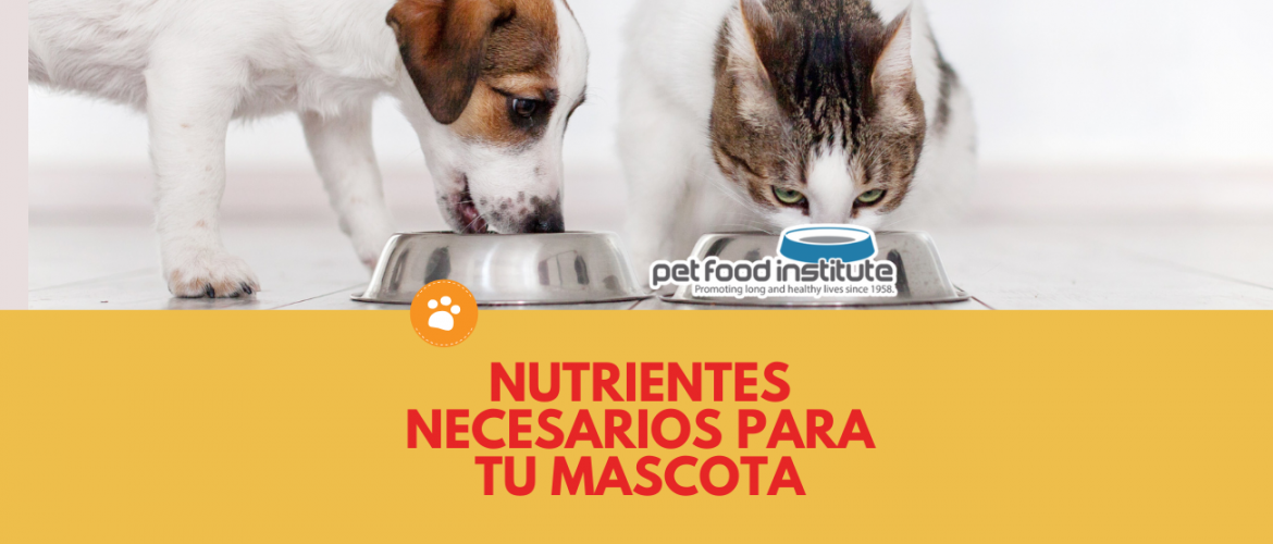 Nutrientes necesarios para tu mascota