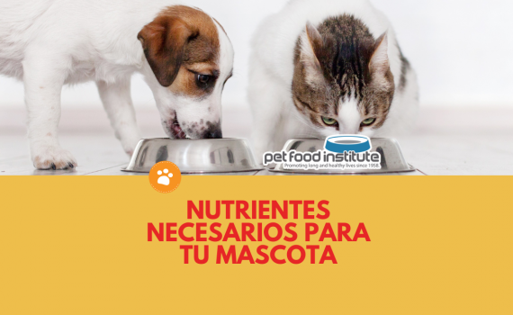 Nutrientes necesarios para tu mascota
