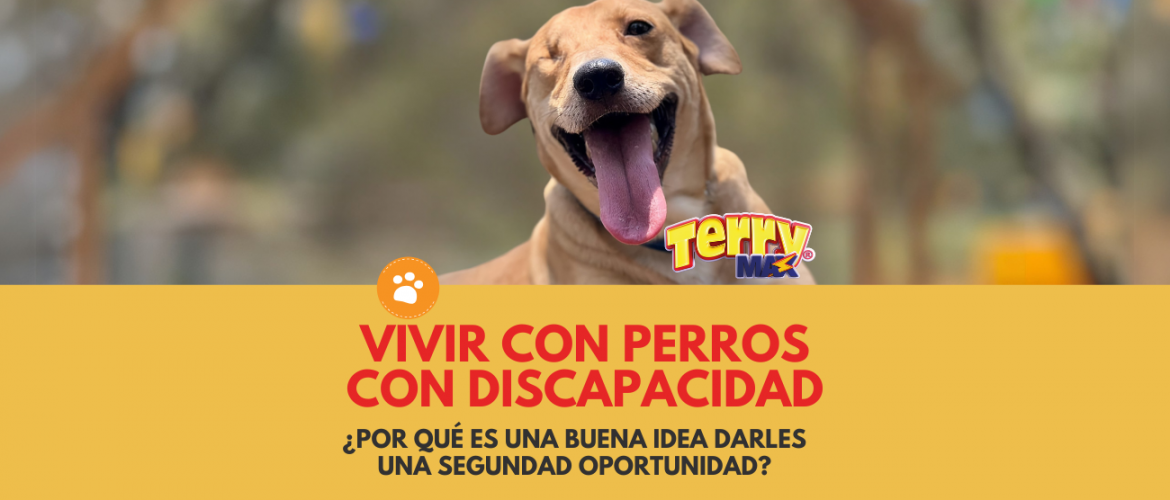 Vivir con perros con discapacidad (1)